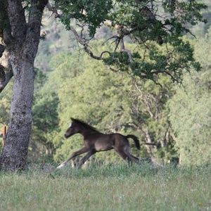 Meet your Posher, Elicia